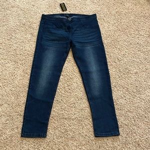 Torrid Skinny Jeans